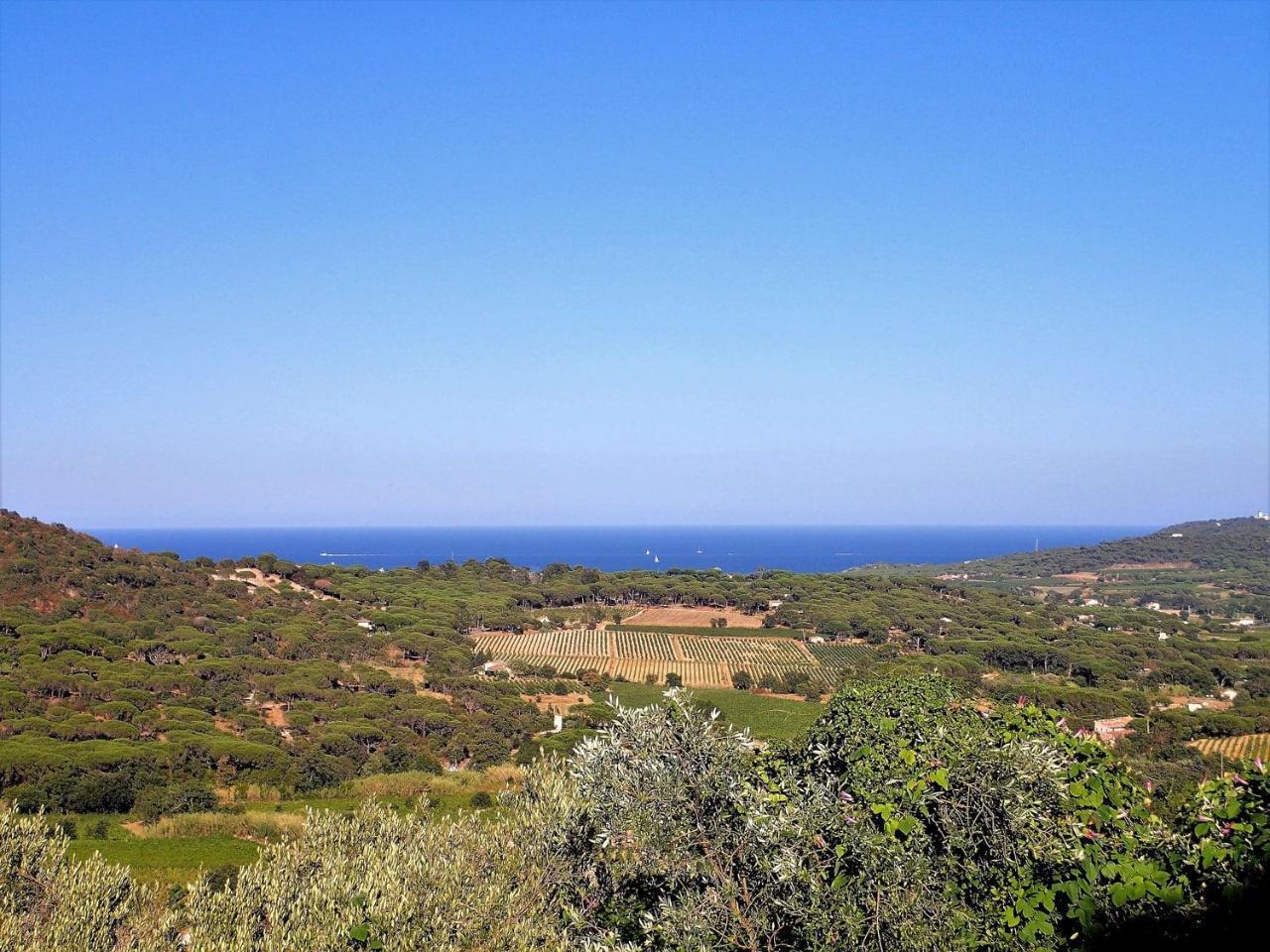 Village Vacances De Ramatuelle - Le Sentier Des Pins المظهر الخارجي الصورة